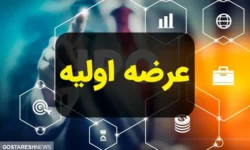 صفر تا صد درباره عرضه اولیه «خبرنا»