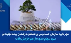 مهر تایید سازمان حسابرسی بر عملکرد درخشان بیمه تجارت‌نو/ سود سهام «بنو» باز هم افزایش یافت