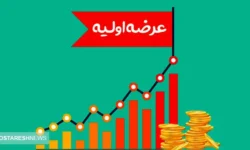 عرضه اولیه جدید در راه بازار سرمایه | سهامداران بخوانند