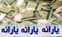 وزیرکار تکلیف یارانهبگیران را روشن کرد | این افراد با یارانه معیشتی وداع کنند