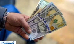 تسهیلات ارزی بلعیده شد ؛ خبری از بازگشت نیست!