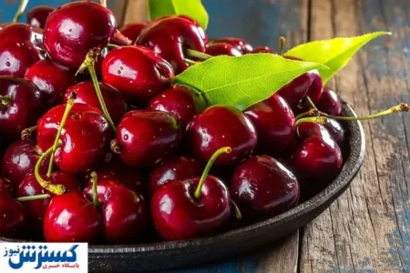 قیمت گیلاس کنترل شد | اوضاع بازار تغییر کرد