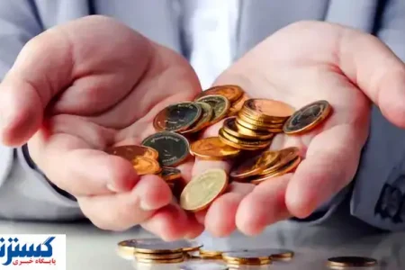 مجلس بساط فشار مالی بر مردان را جمع می‌کند