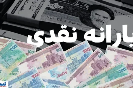 تبدیل یارانه نقدی به کالابرگ الکترونیکی با چند کلیک