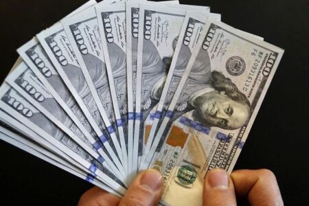 12 میلیارد دلار واردات نهاده در یک سال؛ ریشه فشار ارزی در کجای کشاورزی است؟