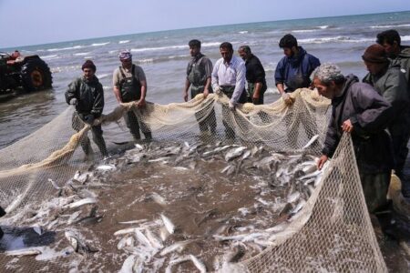 آغاز عملیات اجرایی ۳ طرح در بنادر صیادی استان بوشهر