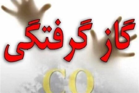جزئیات مسمومیت ۵ نفر در جاده بانه – مریوان