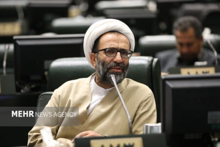 سلیمی: نمی‌توان بر اساس وعده‌های کلی دولت در مورد بودجه تصمیم گرفت