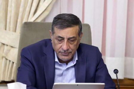 قائم پناه: وعده پزشکیان در اجرای عدالت در توزیع یارانه شروع می‌شود