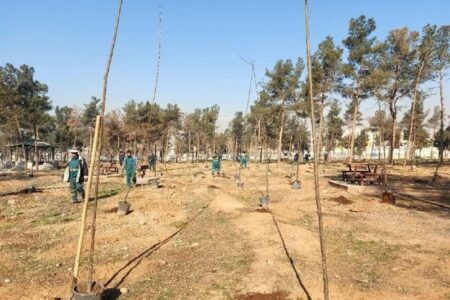 اخبار تهران| کاشت 24 هزار نهال در بوستان جنگلی سرخه‌حصار