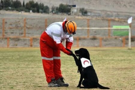 تجهیز سگ‌های زنده‌یاب هلال‌احمر به سامانه‌های هوشمند موقعیت یاب