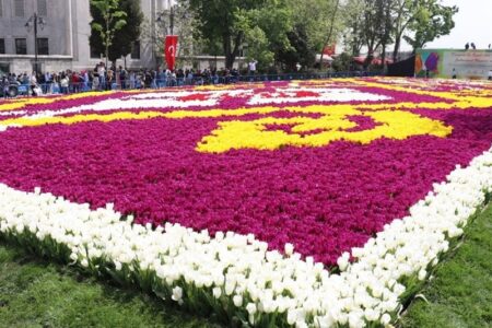 کاشت لاله در بوستان‌های منتخب و فرش گل در معابر بزرگراهی
