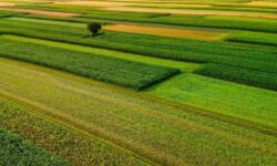 4 میلیون هکتار مراتع کشور در سال 1404 حفظ و احیا شد