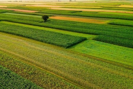 4 میلیون هکتار مراتع کشور در سال 1404 حفظ و احیا شد