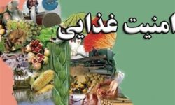 دشمن در شکست امنیت غذایی کشورمان هم شکست خورد