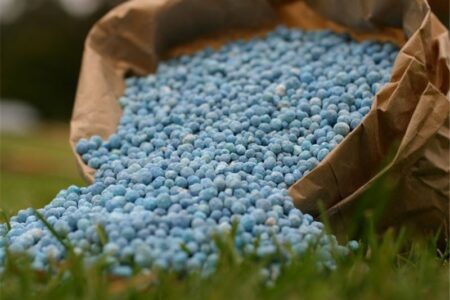 دغدغه‌های تولید کود در روزهای سخت؛ ضرورت بازنگری روند تخصیص ارز و مجوز