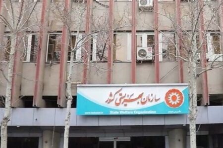 سازمان بهزیستی 2081 خانوار نیازمند را پس از جنگ تحمیلی سوم شناسایی کرد