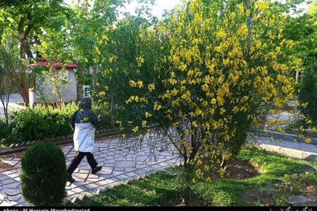 هوای تهران در وضعیت پاک