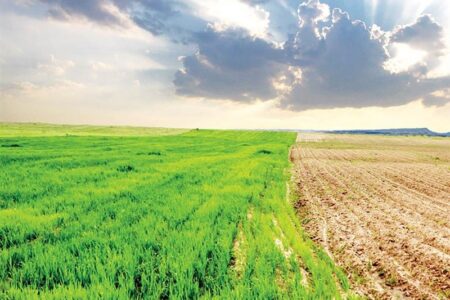 چالش‌های اقلیمی کشاورزی ایران؛ از خشکسالی تا امنیت غذایی