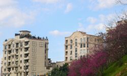 کیفیت هوای پایتخت “قابلقبول” است