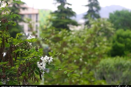 50 روز هوای قابل‌قبول در تهران