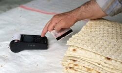 افزایش قیمت نان تکذیب شد