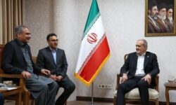 بررسی روند رایزنیهای دیپلماتیک در دیدار پزشکیان با وزیر کشور پاکستان