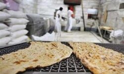 طرح دوباره سناریوی کالابرگی شدن نان