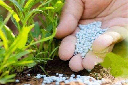 نسبت غلات به اوره به کف تاریخی رسید؛ خطر موج جدید تورم غذایی در جهان