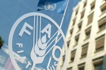 نماینده ایران در فائو: تنگه هرمز پیش از تجاوز علیه ایران باز بود