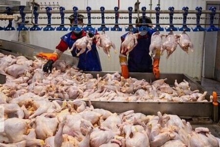 کاهش تشریفات اداری دامپزشکی برای تسهیل واردات گوشت و مرغ