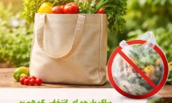 چطور بگ پارچه ای به حفظ محیط زیست انسان ها کمک می کند؟