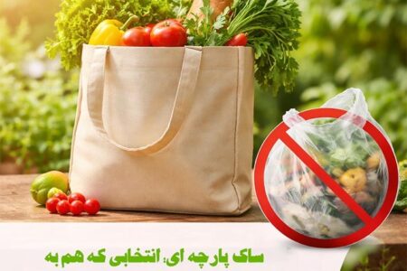 چطور بگ پارچه ای به حفظ محیط زیست انسان ها کمک می کند؟