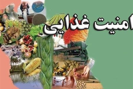 تامین کالاهای اساسی و امنیت غذایی از مسیر کشورهای همسایه