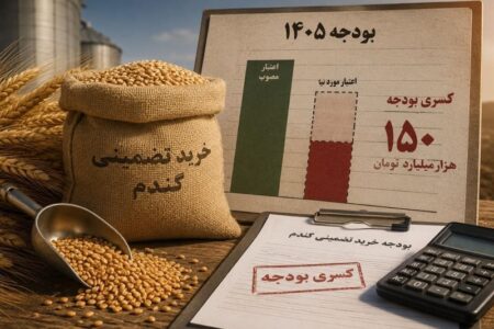 ماجرای کسری بودجه 150 هزار میلیارد تومانی فقط در یک بند از بودجه 1405