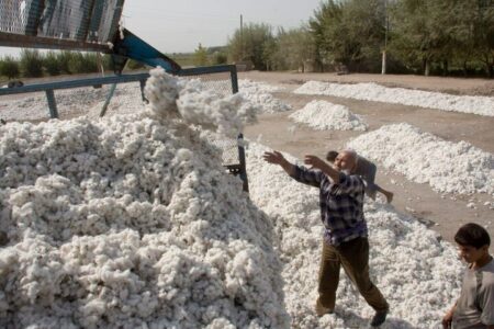 ایران بزرگترین خریدار پنبه تاجیکستان شد