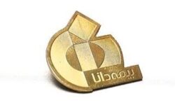 بج سینه برای نمایشگاه و همایش