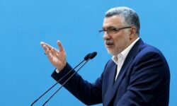 ظفرقندی: پزشک خانواده میتواند آینده نظام سلامت را متحول کند