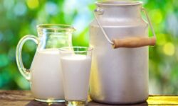 ناگفتههایی از ماندگاری شیرهای پاکتی؛ هشدار متخصص تغذیه