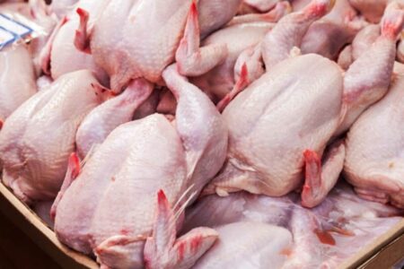 چراغ سبز به صادرات گوشت مرغ / قیمتها در بازار داخلی بالا میرود؟