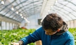 ببینید |65 درصد مهندسان کشاورزی بیکارند یا شغل تخصصی ندارند