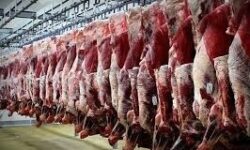 کاهش 6 درصدی تولید گوشت قرمز در تیر 1405