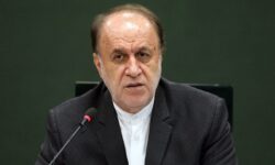 دولت نسبت به پرداخت طلب 65 درصدی گندم کاران اقدام کند