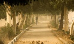 صدور هشدار زردرنگ هواشناسی؛ افزایش وزش باد و بارش باران در چند استان