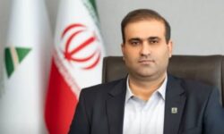 مناطق آزاد باید از عملکرد جزیره ای به ابزار راهبردی دیپلماسی اقتصادی تبدیل شوند