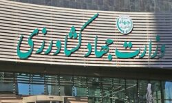 هدفگذاری جهاد کشاورزی برای توسعه کشت ارگانیک در 20 هزار هکتار