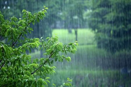 هشدار بارندگی سیل آسا در سواحل شمالی و جنوب کشور| کاهش دما در شمالغرب