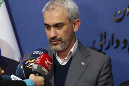 وزیر اقتصاد: صندوق‌های ارزی مشمول نرخ‌گذاری دولتی نیستند